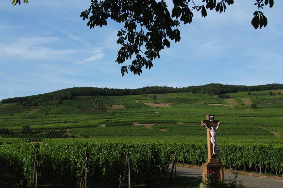 alsace1-270