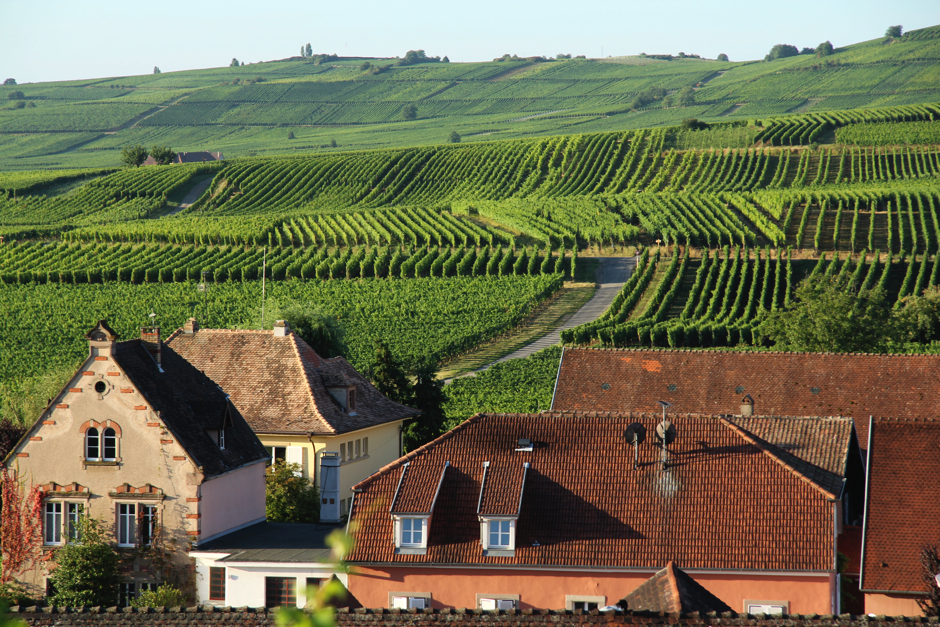 alsace3-153