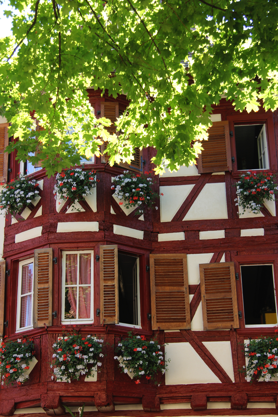 alsace6-283