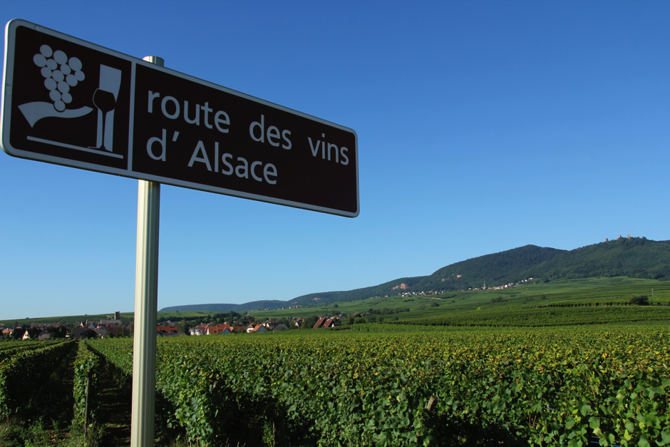 alsace6-41
