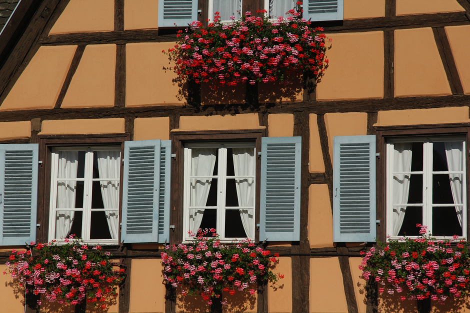 alsace6-86