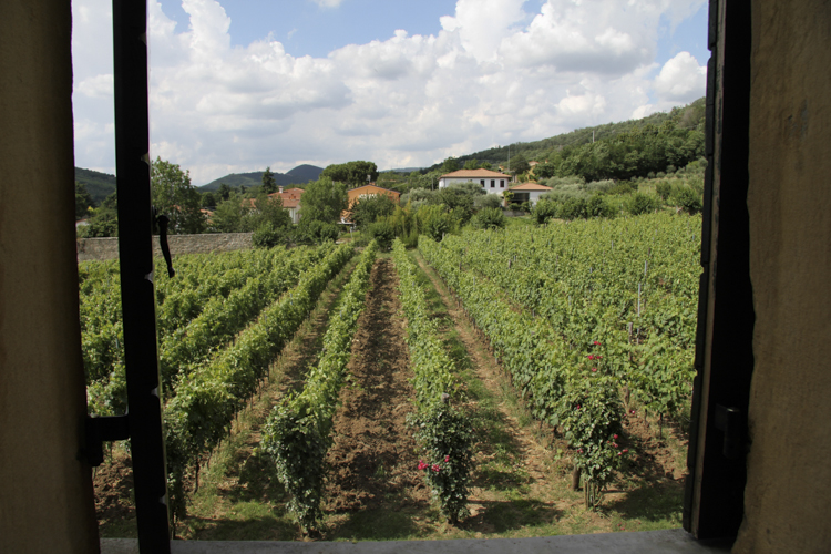 mud&wine-12