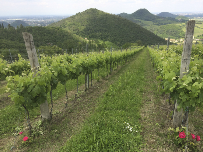 mud&wine-23