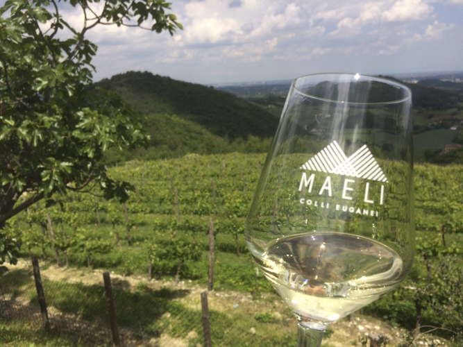 mud&wine-25