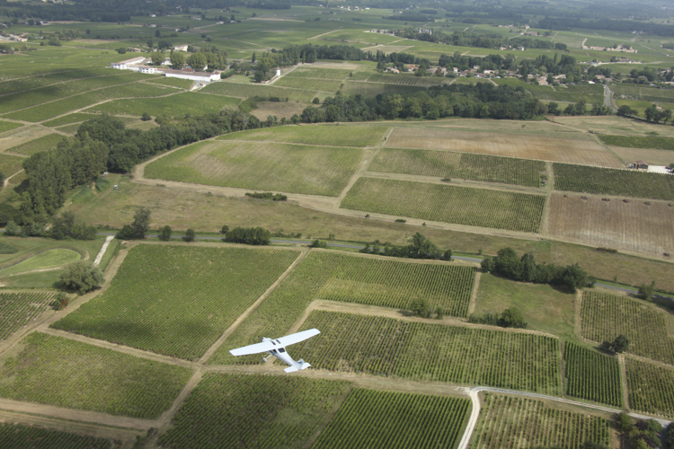 Flying over the vineyards